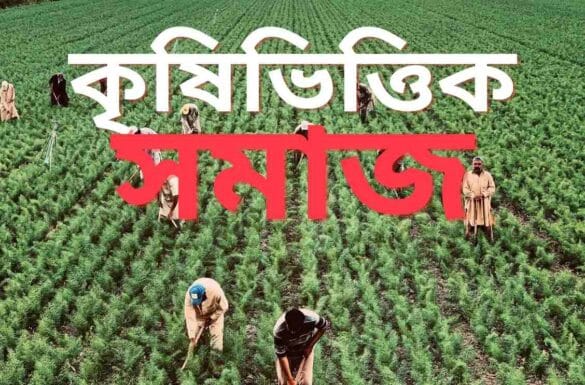 কৃষিভিত্তিক সমাজ