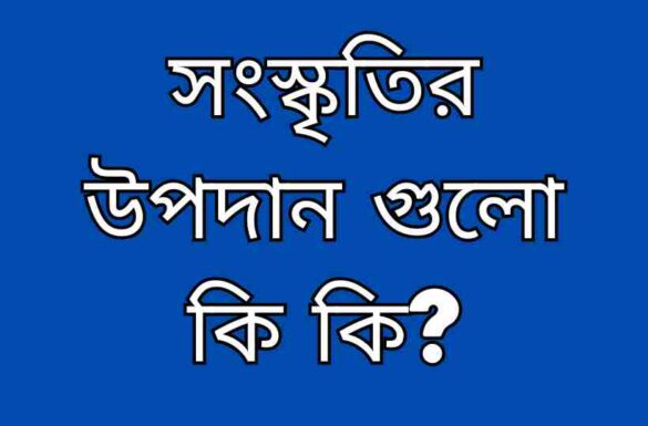 সংস্কৃতির উপাদান গুলো কি কি সংস্কৃতির উপাদান গুলো কি কি