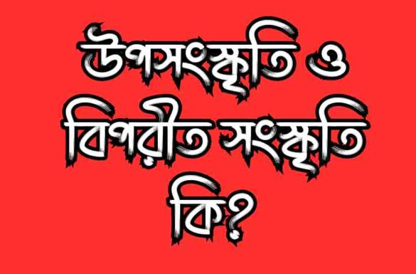 উপসংস্কৃতি কি বিপরীত সংস্কৃতি কি উপসংস্কৃতি কি বিপরীত সংস্কৃতি কি