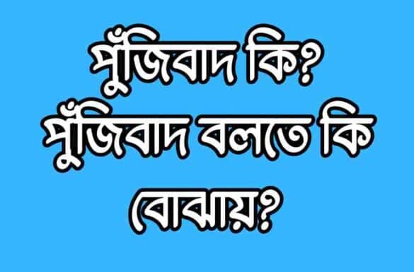 পুঁজিবাদ কি পুঁজিবাদ বলতে কি বোঝায়