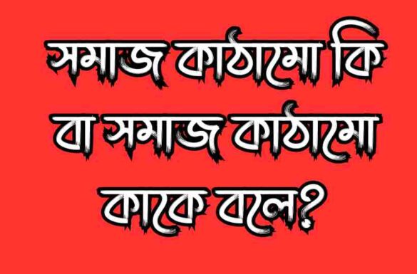 সমাজ কাঠামো কি, সমাজ কাঠামো কাকে বলে,