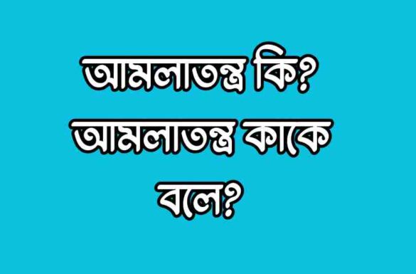 আমলাতন্ত্র কি, আমলাতন্ত্র কাকে বলে, আমলাতন্ত্র কি, আমলাতন্ত্র কাকে বলে,