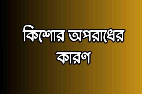 কিশোর অপরাধের কারণ, কিশোর অপরাধ এর কারণ,