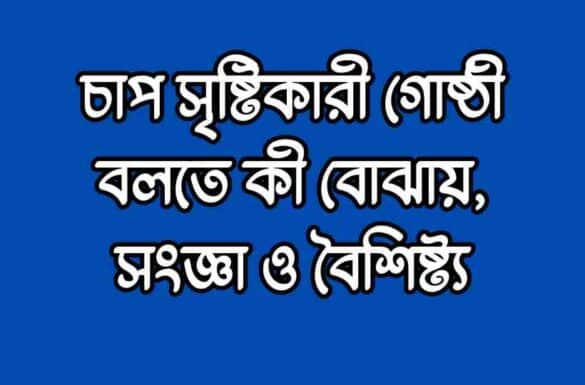 চাপ সৃষ্টিকারী গোষ্ঠী বলতে কী বোঝায়, চাপসৃষ্টিকারী গোষ্ঠী কি, চাপ সৃষ্টিকারী গোষ্ঠীর সংজ্ঞা দাও, চাপ সৃষ্টিকারী গোষ্ঠীর বৈশিষ্ট্য,