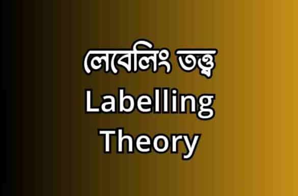 লেবেলিং তত্ত্ব
