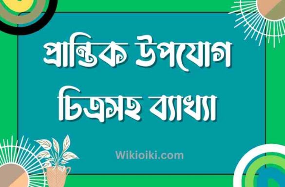 প্রান্তিক উপযোগ কি, প্রান্তিক উপযোগ,