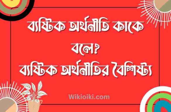 ব্যষ্টিক অর্থনীতি কাকে বলে, ব্যষ্টিক অর্থনীতির বৈশিষ্ট্য, ব্যষ্টিক অর্থনীতি কি,