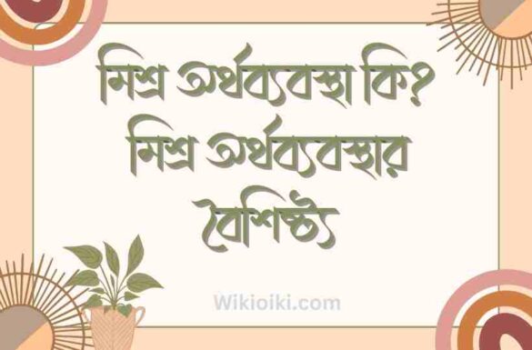 মিশ্র অর্থব্যবস্থা কি, মিশ্র অর্থব্যবস্থার বৈশিষ্ট্য, মিশ্র অর্থব্যবস্থা কি, মিশ্র অর্থব্যবস্থার বৈশিষ্ট্য,