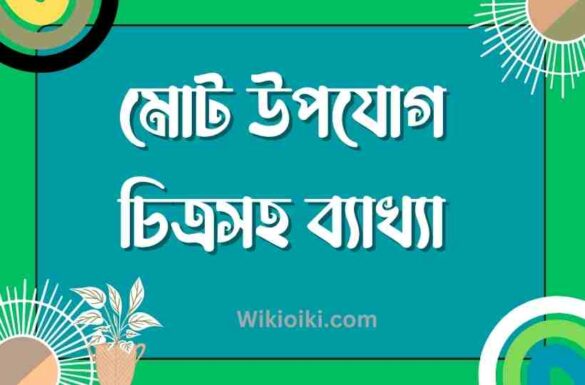 মোট উপযোগ কাকে বলে, মোট উপযোগ, মোট উপযোগ কাকে বলে, মোট উপযোগ,