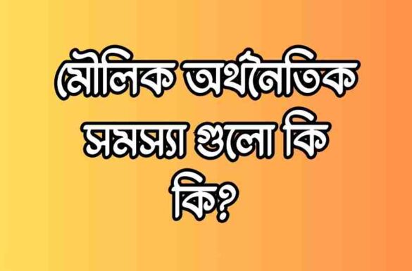 মৌলিক অর্থনৈতিক সমস্যা গুলো কি কি,