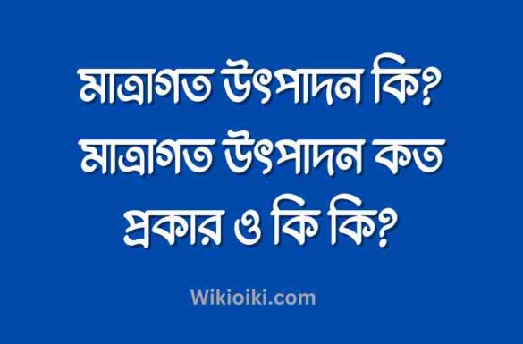 মাত্রাগত উৎপাদন কি, মাত্রাগত উৎপাদন কত প্রকার,