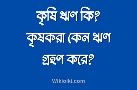 কৃষি ঋণ কি, কৃষকরা কেন ঋণ গ্রহণ করে,