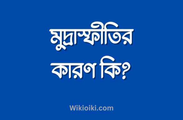 মুদ্রাস্ফীতির কারণ কি, মুদ্রাস্ফীতির কারণ কি,