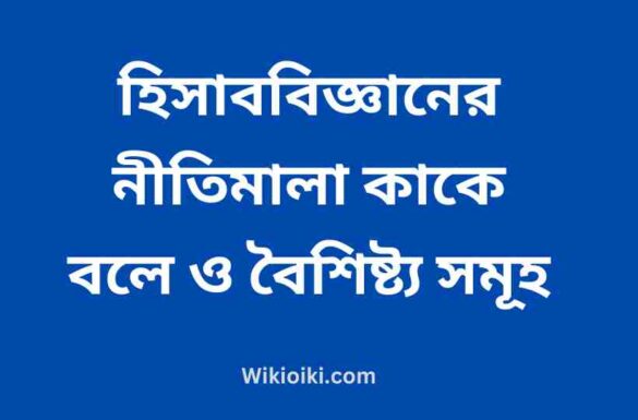 হিসাববিজ্ঞানের নীতিমালা কাকে বলে, হিসাববিজ্ঞানের নীতিমালার বৈশিষ্ট্য,