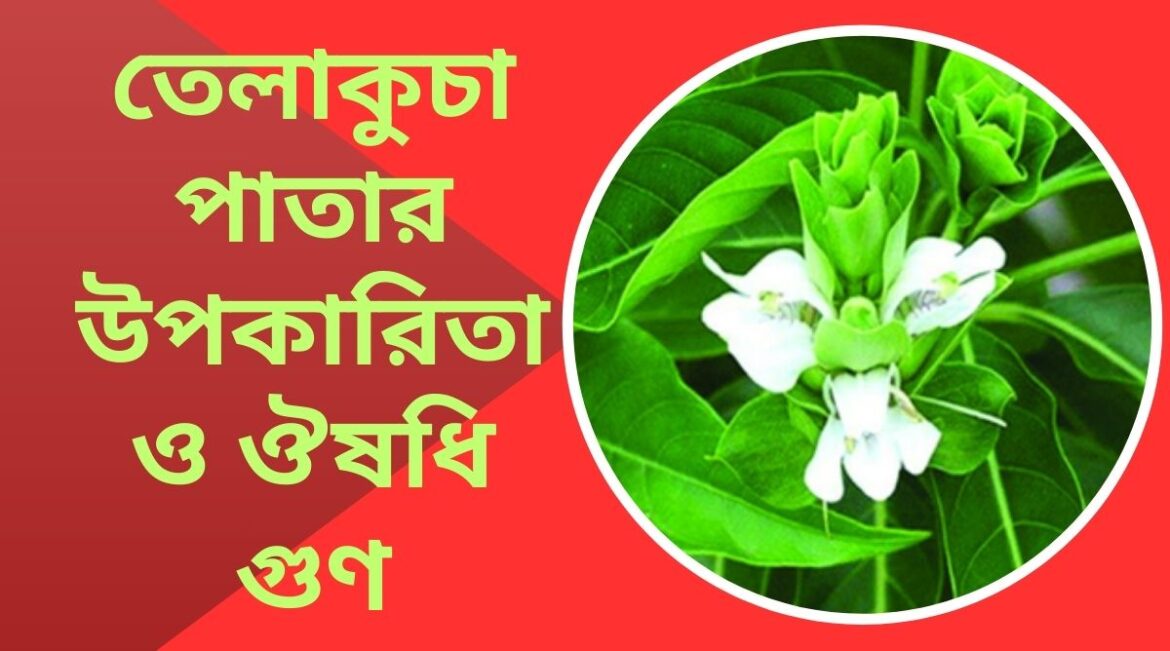 তেলাকুচা পাতার উপকারিতা ও ঔষধি গুণ