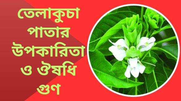 তেলাকুচা পাতার উপকারিতা ও ঔষধি গুণ