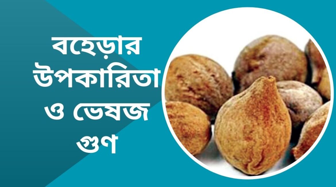 বহেড়ার উপকারিতা ও ভেষজ গুণ